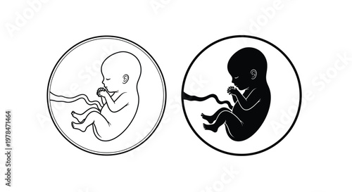 Two depictions of a fetus in the womb one in light and one in dark contrast