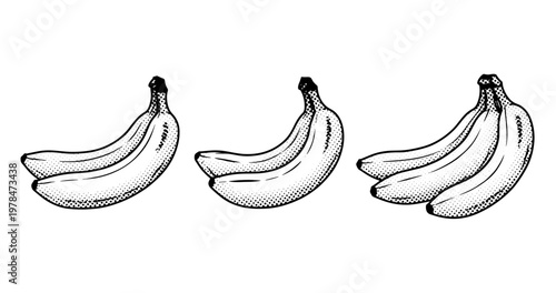 Banana bunches shown whole and paired on white background. not ideal dots