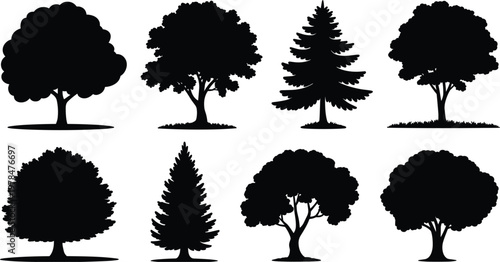Tree silhouette collection set, diverse forest pine and oak plants for nature landscape design isolated vector illustration