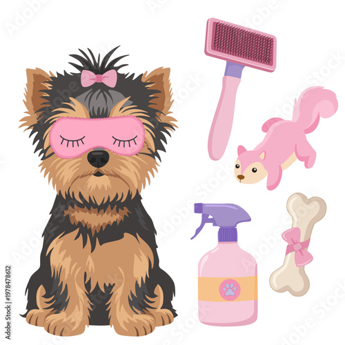 Yorkshire Terrier dog SPA set with sleep mask, slicker brush, pink squirrel toy, spray bottle and bone, cute pet grooming vector illustration on a transparent background.
