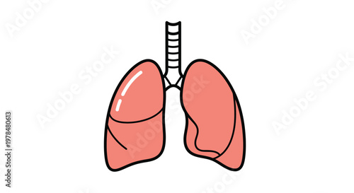 A simplified colorful illustration depicts a pair of human lungs showcasing their lobed structure and trachea