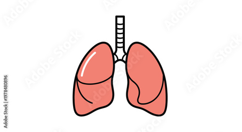 A colorful simplified illustration depicts a pair of human lungs with a trachea connection