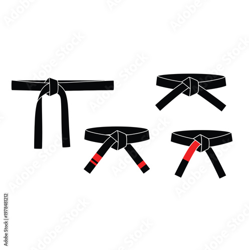 Diagram of martial arts belts with varying colors a striking silhouette