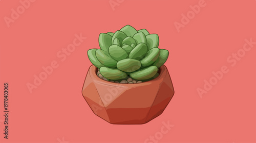 Green Succulent Plant In Pot.