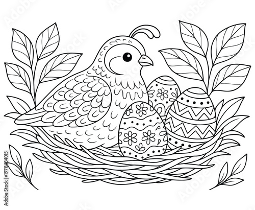 Quail bird with decorative eggs in nest, Easter theme coloring page.