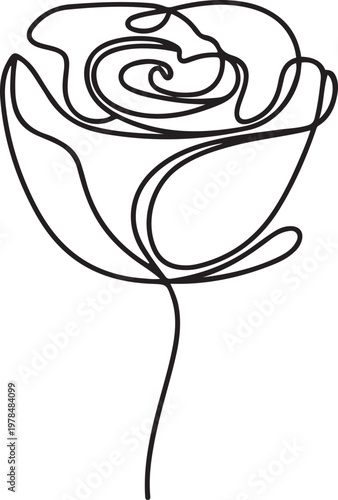 Line art of rose flower, black and white outline of rose flowers vector. one line Icon drawing