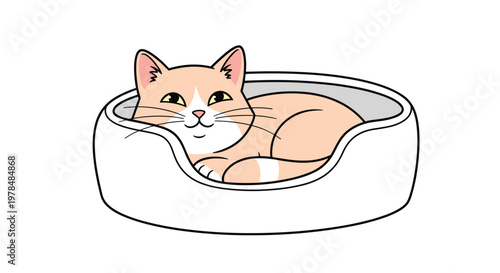 Cute ginger and white cat sleeping peacefully inside a soft round white pet bed on a clean and plain white background.