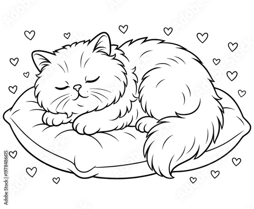 Fluffy cat sleeping comfortably on a soft pillow surrounded by floating hearts outline art.
