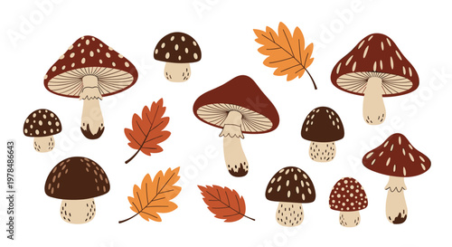 Set of diverse forest mushrooms and colorful autumn leaves including oak and maple foliage depicted in warm earthy tones.