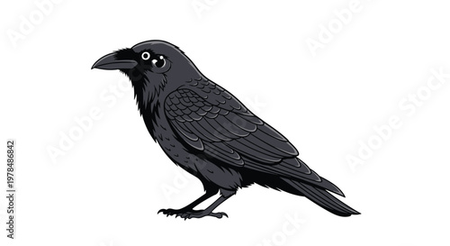Detailed illustration of a black crow or raven standing sideways showing its dark feathers and sharp beak against a plain white background.