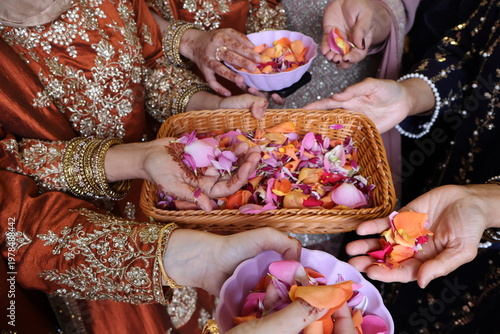 Tableau sur toile Adult hands holding coloured petals part of celebration and tradition