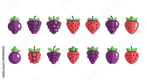Fresh fruits including strawberries and blackberries are arranged in rows on a table indoors.