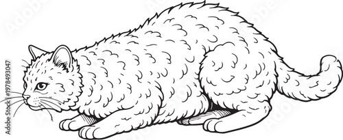 Obraz na plátně Selkirk Rex Cat Pouncing Crouch Black and White Line Art Illustration