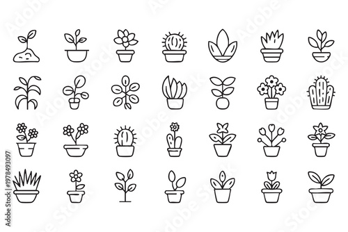 Indoor Garden and Plant Icon Pack for Home Decoration Graphics