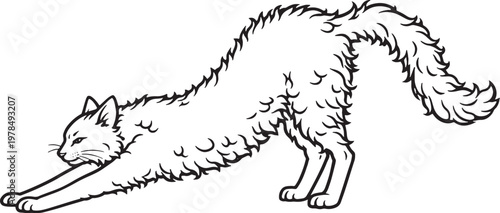 Konstfotografi LaPerm Cat Stretching Forward Feline Stretch Pose Black and White Line Art Illus