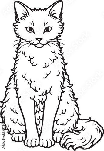 Fényképezés LaPerm Cat Sitting Upright Alert Front View Black and White Line Art Illustratio