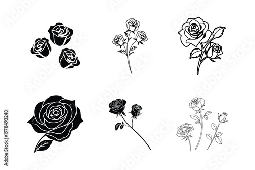 Elegant Rose Continuous Line Drawing Collection for Minimal Floral Design
