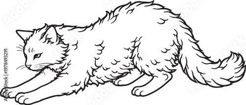 LaPerm Cat Kneading Paws Comfort Behavior Black and White Line Art Illustration