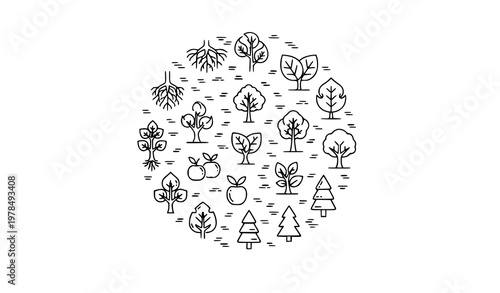 Modern tree outline icon collection with botanical elements and fruit trees in thin line vector design