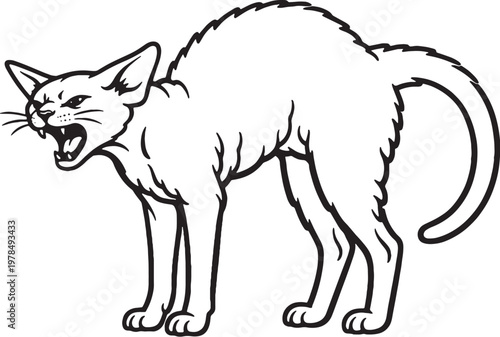 Devon Rex cat arching back hiss defensive posture black and white line art isolated