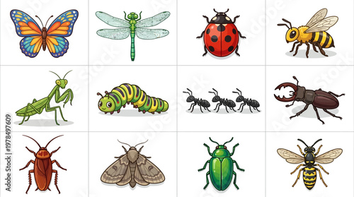 Insects Vector Illustration Set – Dragonfly, Butterfly, Ladybug, Praying Mantis, Honeybee, Beetles, Moths, Ants, Caterpillar – Detailed Cartoon Clipart for Education, Nature, Science