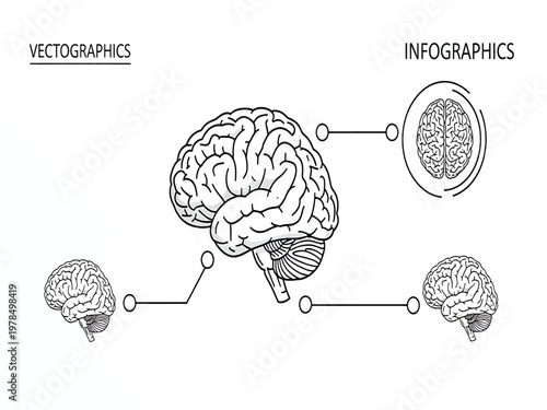 Detailed Vector Illustration of Human Brain with Smaller Brain Icons Connected by Lines