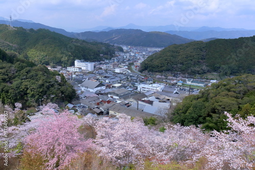 桜と佐川の町並み　高知県牧野公園
