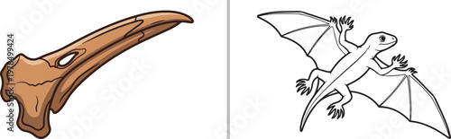 Pterosaur skull fossil and flying reptile dinosaur vector illustration for paleontology education