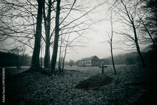 Old abandoned house in the deep dark forest