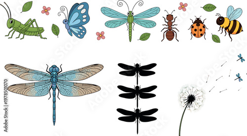 Collection of colorful insects including grasshopper butterfly dragonfly ant ladybug bee and dandelion seeds detailed vector illustration set