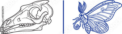 Animal skull and moth line art vector illustration set for tattoo design and nature branding
