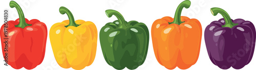 Colorful bell pepper collection with red yellow green orange and purple capsicum vegetables, fresh food vector illustration set
