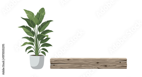 A tall green plant in a simple grey pot stands next to a single piece of weathered wooden timber on a clean white background in a minimalist arrangement.