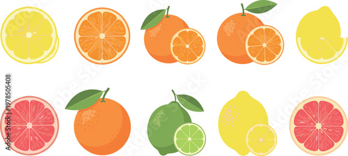 Citrus fruit collection with lemon, orange, lime and grapefruit slices, fresh juicy tropical food set isolated on white background vector