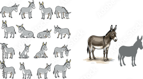 Donkey poses collection with standing, sitting and walking positions, farm animal character set with silhouette and detailed illustration vector