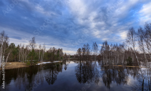 Serene lake mirrors sky and bare trees
