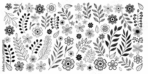 A collection of hand drawn floral and botanical illustrations in black and white
