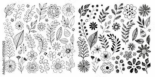 A collection of hand drawn floral and botanical line art illustrations