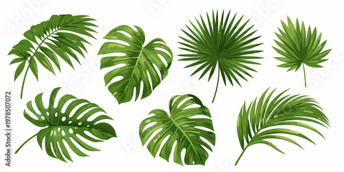 Collection of vibrant tropical leaves in varying shapes and shades of green