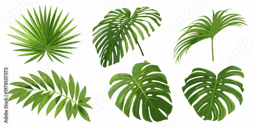 A vibrant collection of diverse tropical leaves on a white background