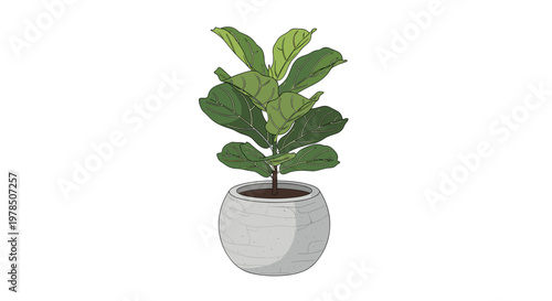 A lush green fiddle leaf fig plant stands in a textured stone-like spherical pot on a clean white surface for a modern interior design home decoration.