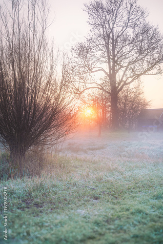 Morning sun pierces mist, frost kisses the dew-kissed grass.