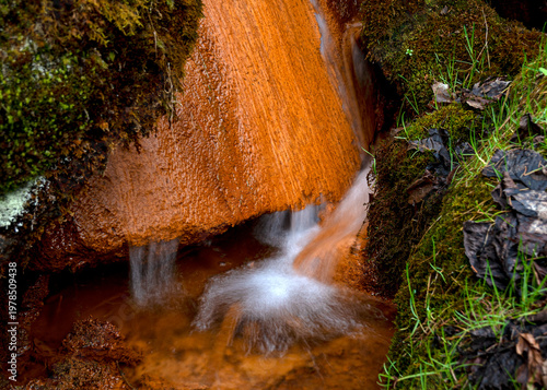 Quadro su tela photo of a noisy spring with a large amount of water, which precipitates iron spring lime