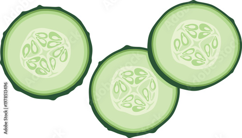 Fresh cucumber slices vector illustration featuring green vegetable cross sections isolated on white background healthy food design element