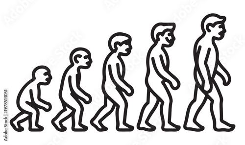 Human Evolution Stages Line Art Vector on a White Background