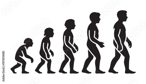 Human Evolution Silhouette Stages of Development Vector on a White Background
