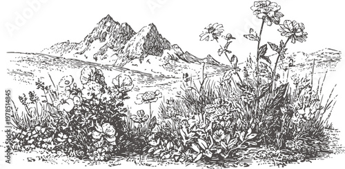 Wildflowers in mountainous meadow with detailed line art illustration
