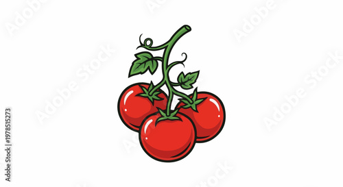 Vibrant red tomatoes hang from a green vine with leaves