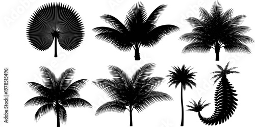 Tropical Jungle Hanging Vines and Rainforest Plants Silhouette