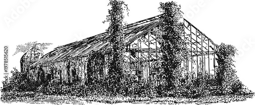 Vintage greenhouse overgrown with ivy and vegetation, old botanical glasshouse illustration